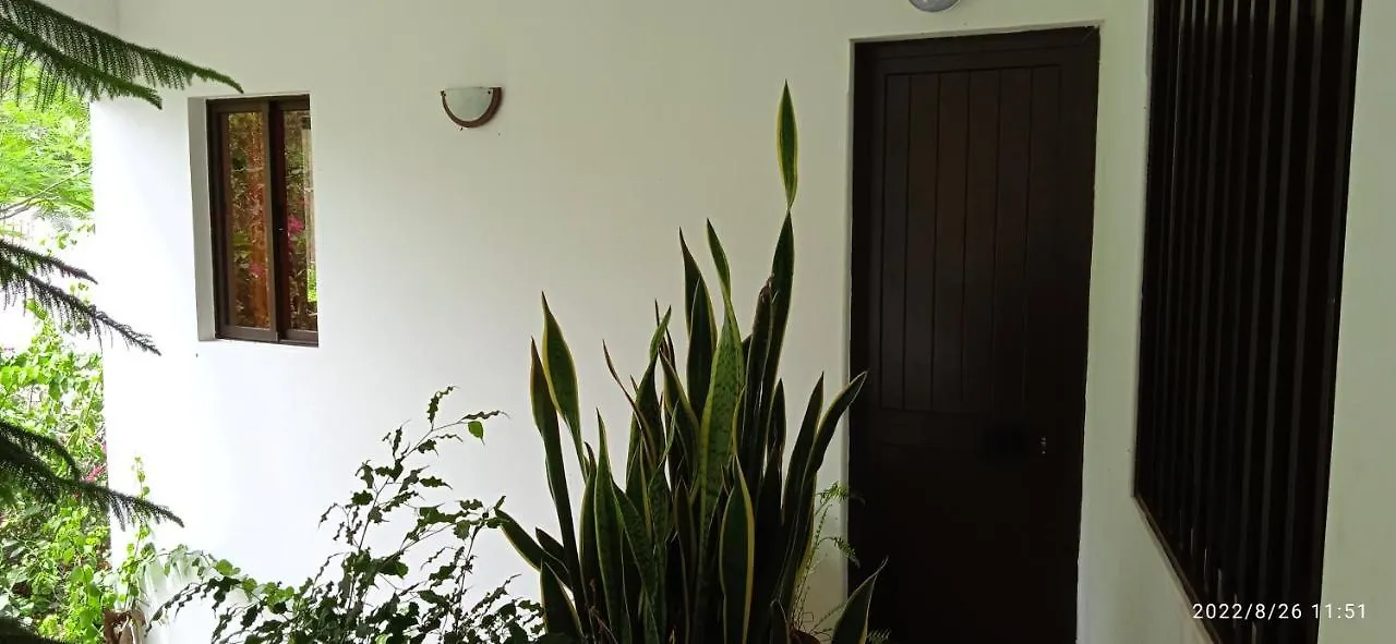 Apartamento Damontanha 2 Ribeira Grande